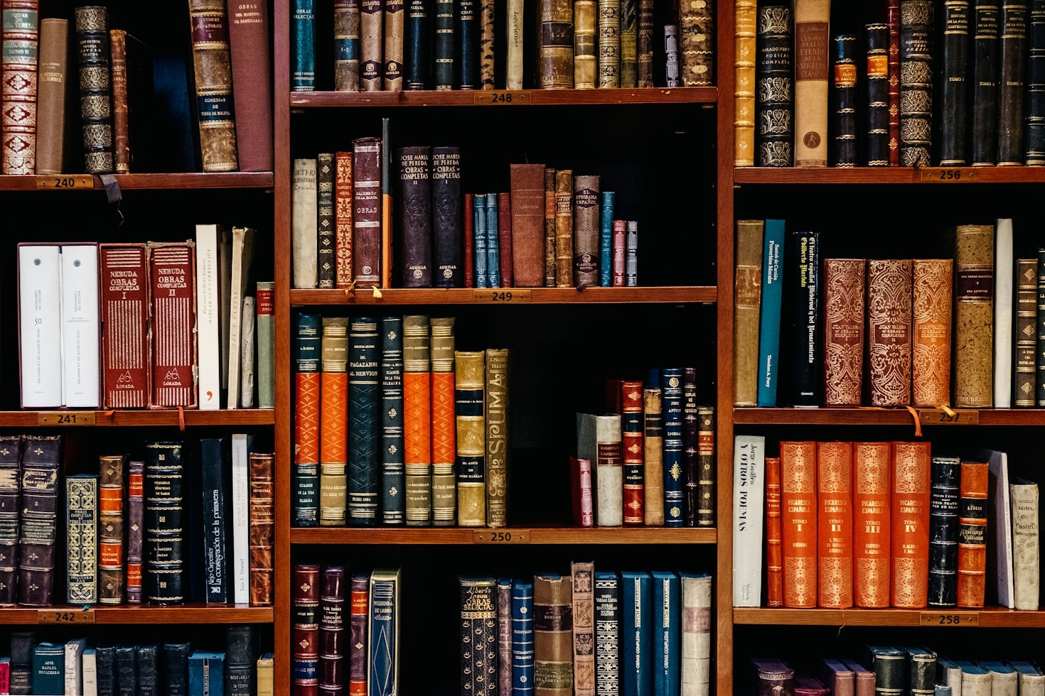 The Role of Low Bono Services in Equity